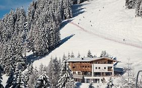 Alpine Hotel Gran Foda'