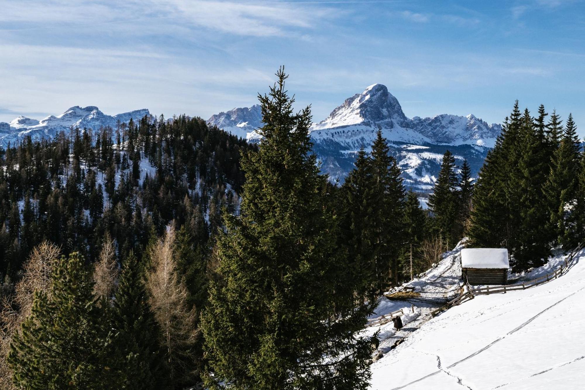 Alpine Hotel Gran Foda' San Vigilio Di Marebbe Esterno foto